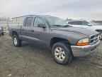 2004 DODGE Dakota