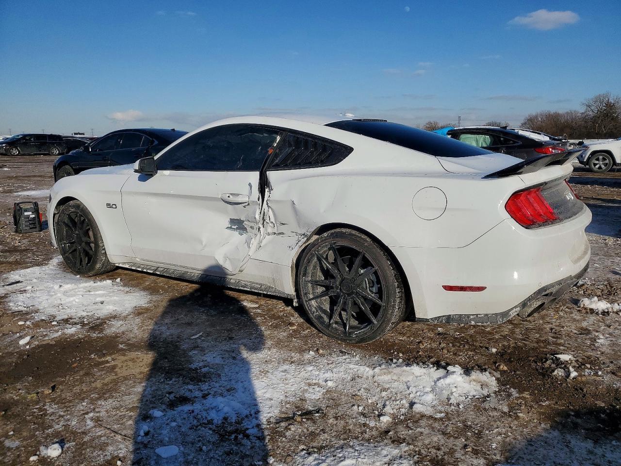2019 FORD MUSTANG