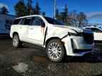 2024 CADILLAC ESCALADE