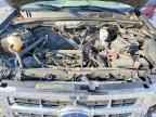 2009 FORD ESCAPE