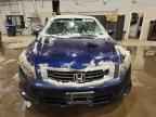 2010 HONDA ACCORD