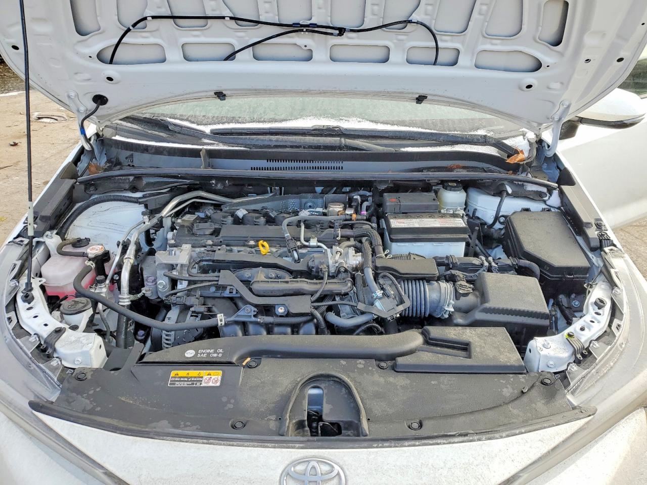 2023 TOYOTA COROLLA