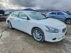 2010 NISSAN Maxima