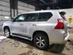 2010 LEXUS GX 460
