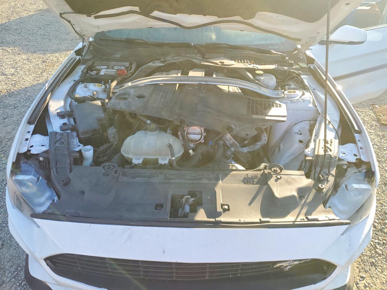 2021 FORD MUSTANG