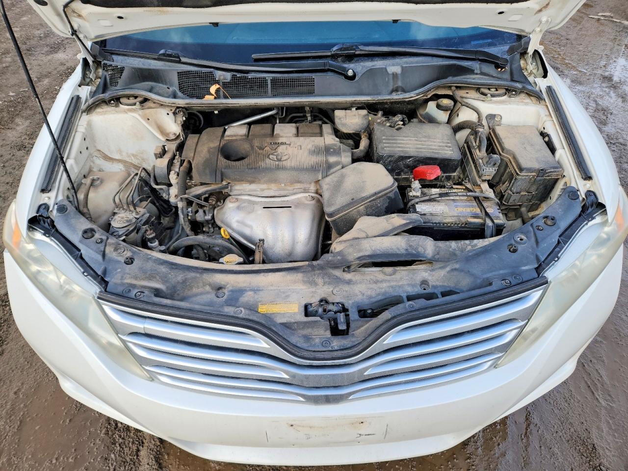 2011 TOYOTA VENZA