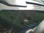 2025 KIA Carnival