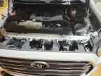 2024 TOYOTA Sequoia