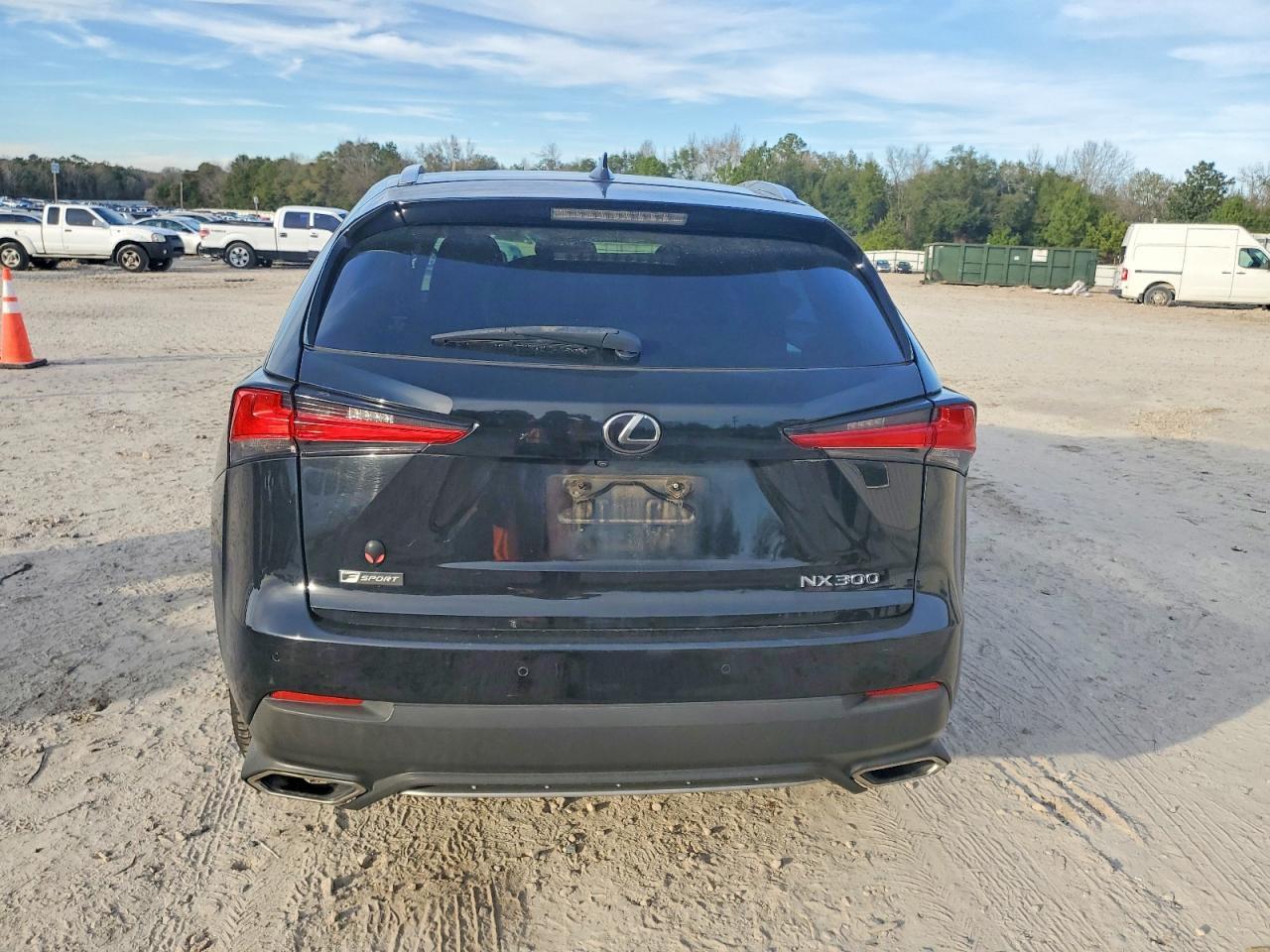 2019 LEXUS NX 300