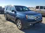2010 HONDA PILOT