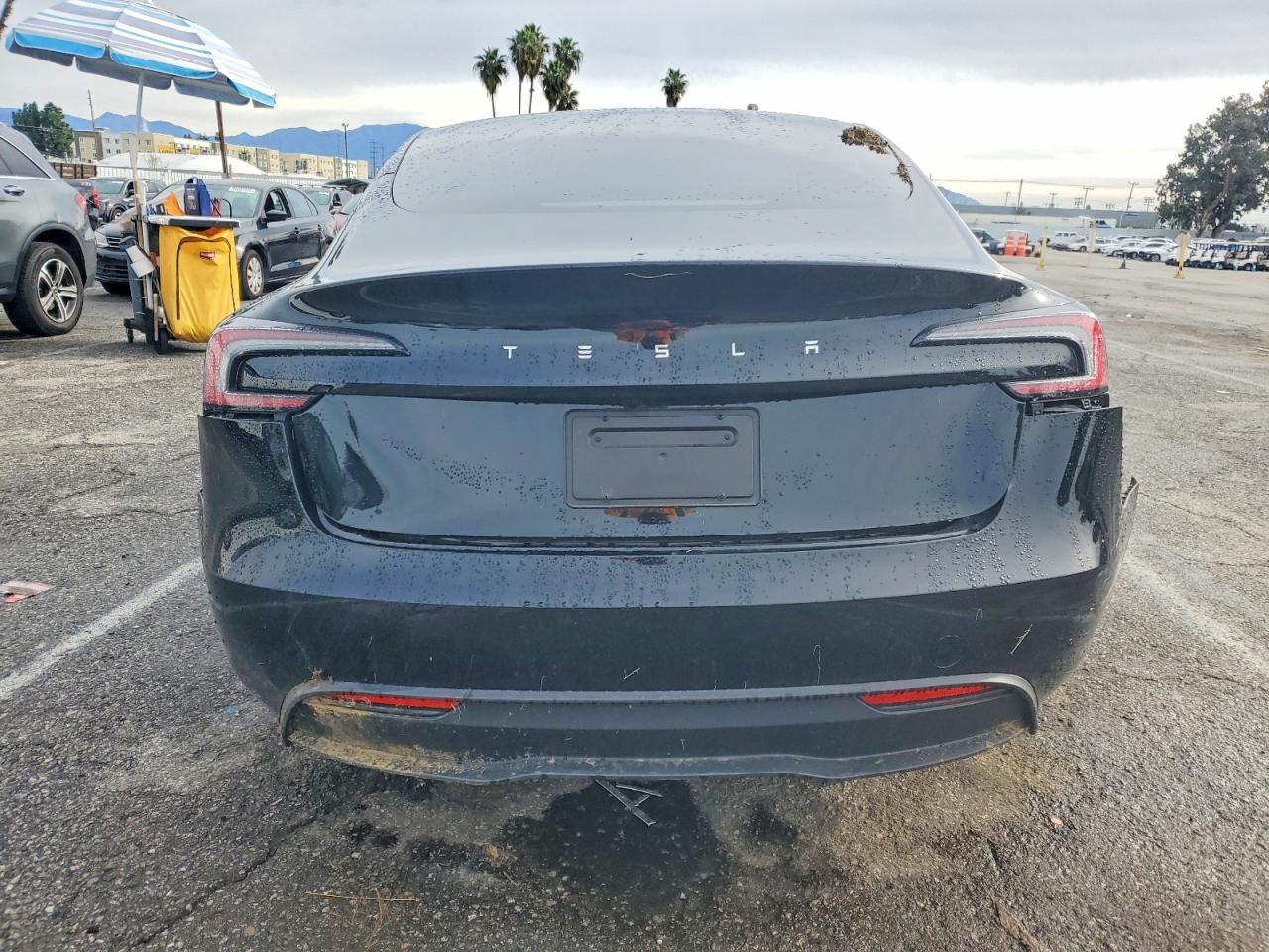 2025 TESLA MODEL 3