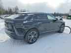 2024 CADILLAC LYRIQ