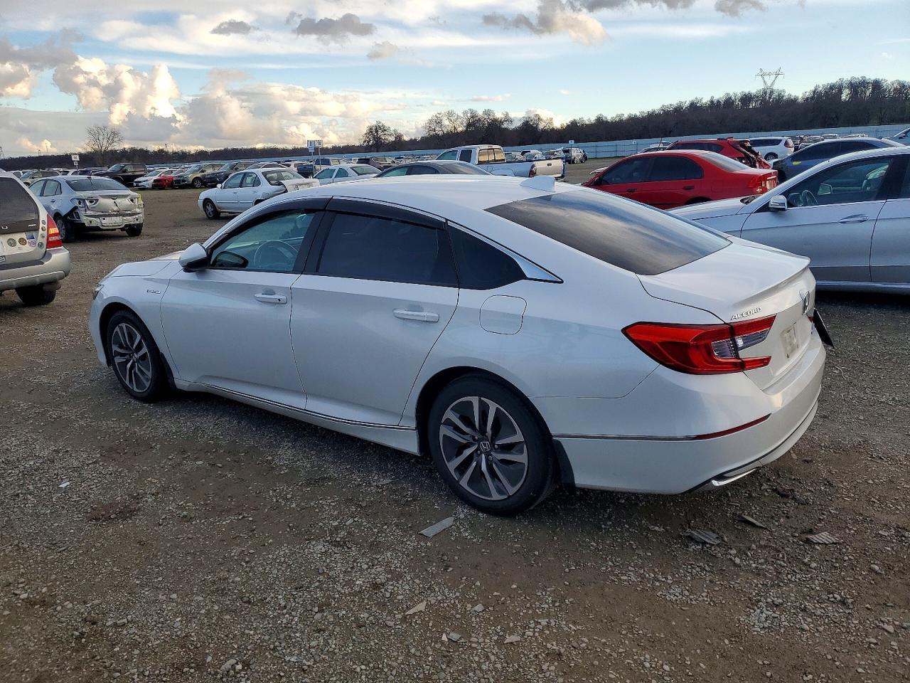 2019 HONDA ACCORD