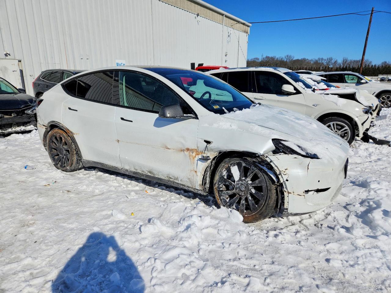 2022 TESLA MODEL Y
