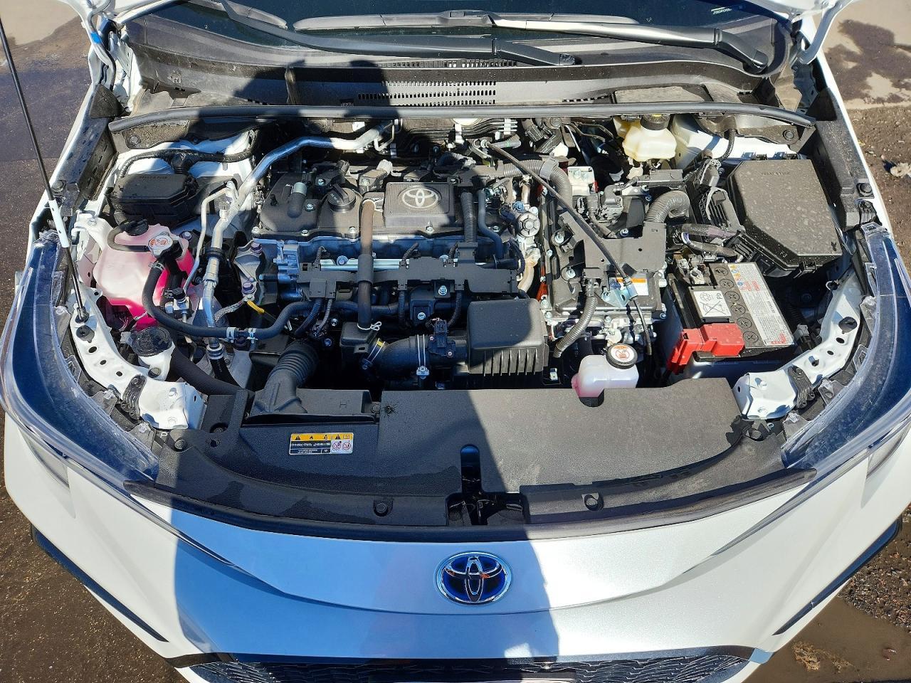2025 TOYOTA COROLLA