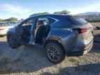 2026 LEXUS NX 350