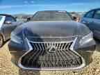 2024 LEXUS ES 300H