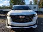 2024 CADILLAC ESCALADE