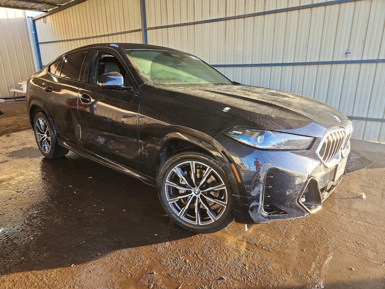 2025 BMW X6