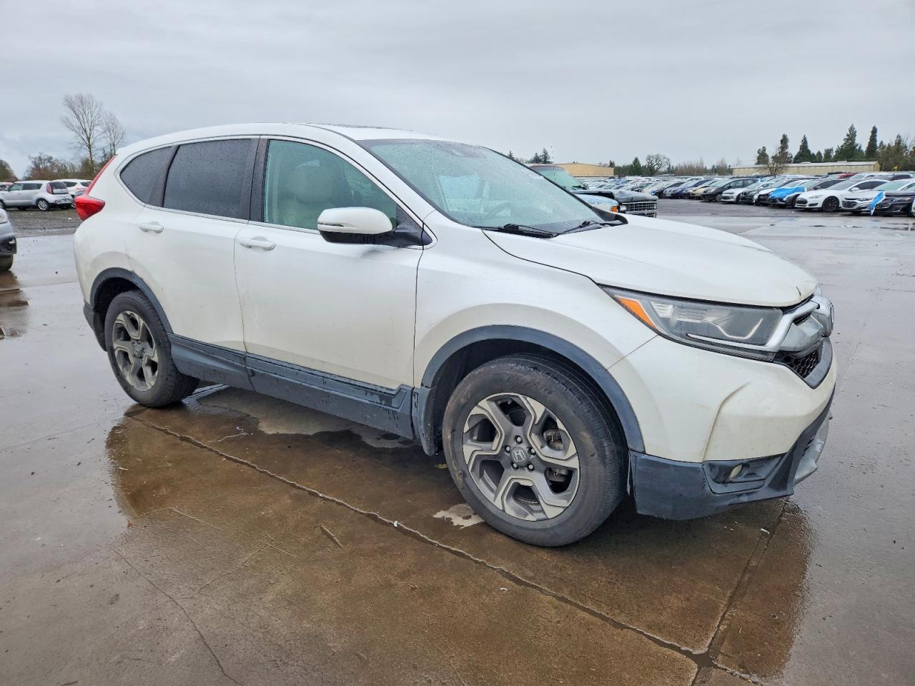 2019 HONDA CR-V