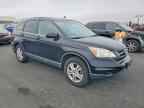 2010 HONDA CR-V