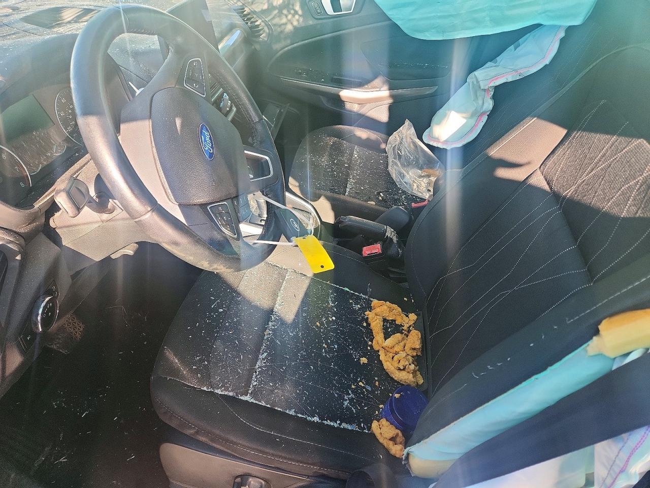 2019 FORD EcoSport