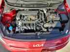 2023 KIA RIO