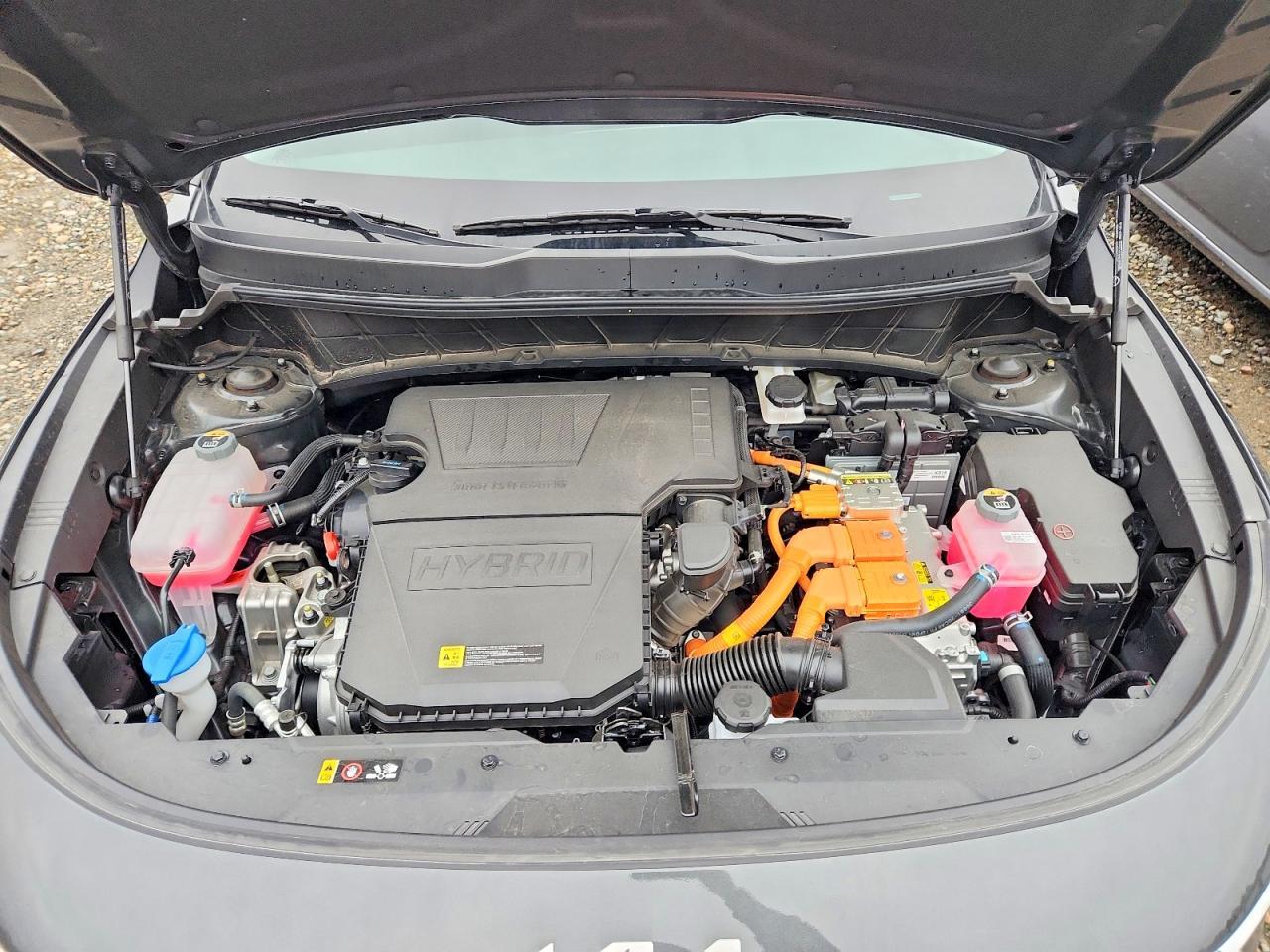 2025 KIA Niro
