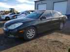 2004 LEXUS ES 330