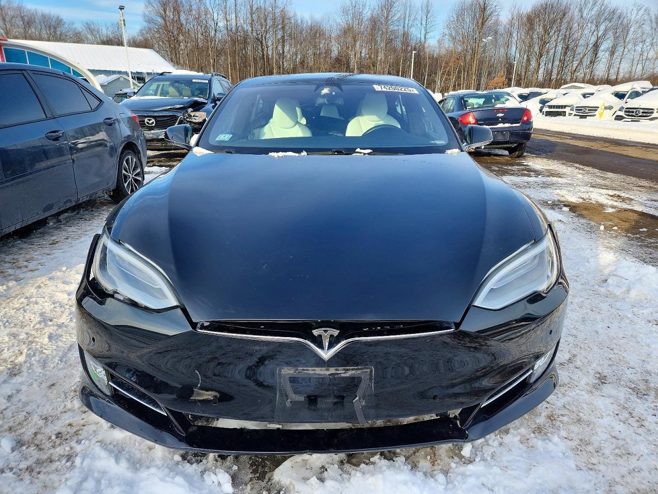 2019 TESLA MODEL S