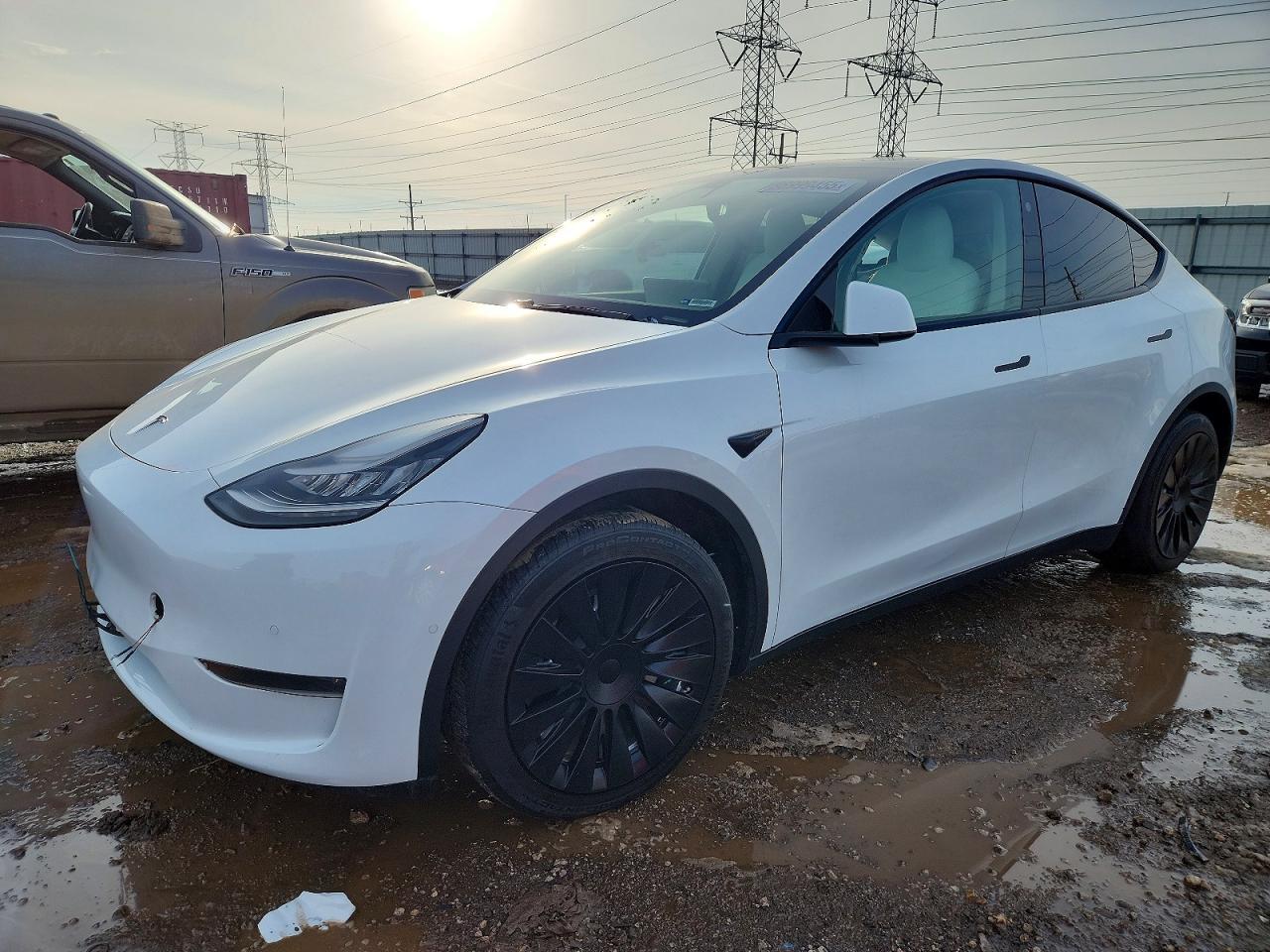 2021 TESLA MODEL Y