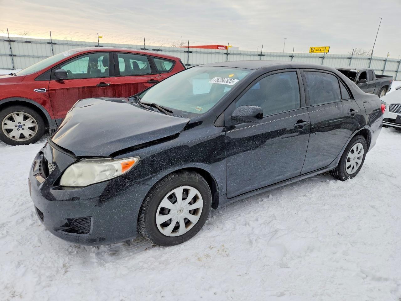 2010 TOYOTA COROLLA