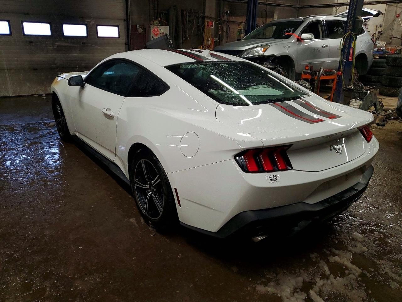 2025 FORD MUSTANG