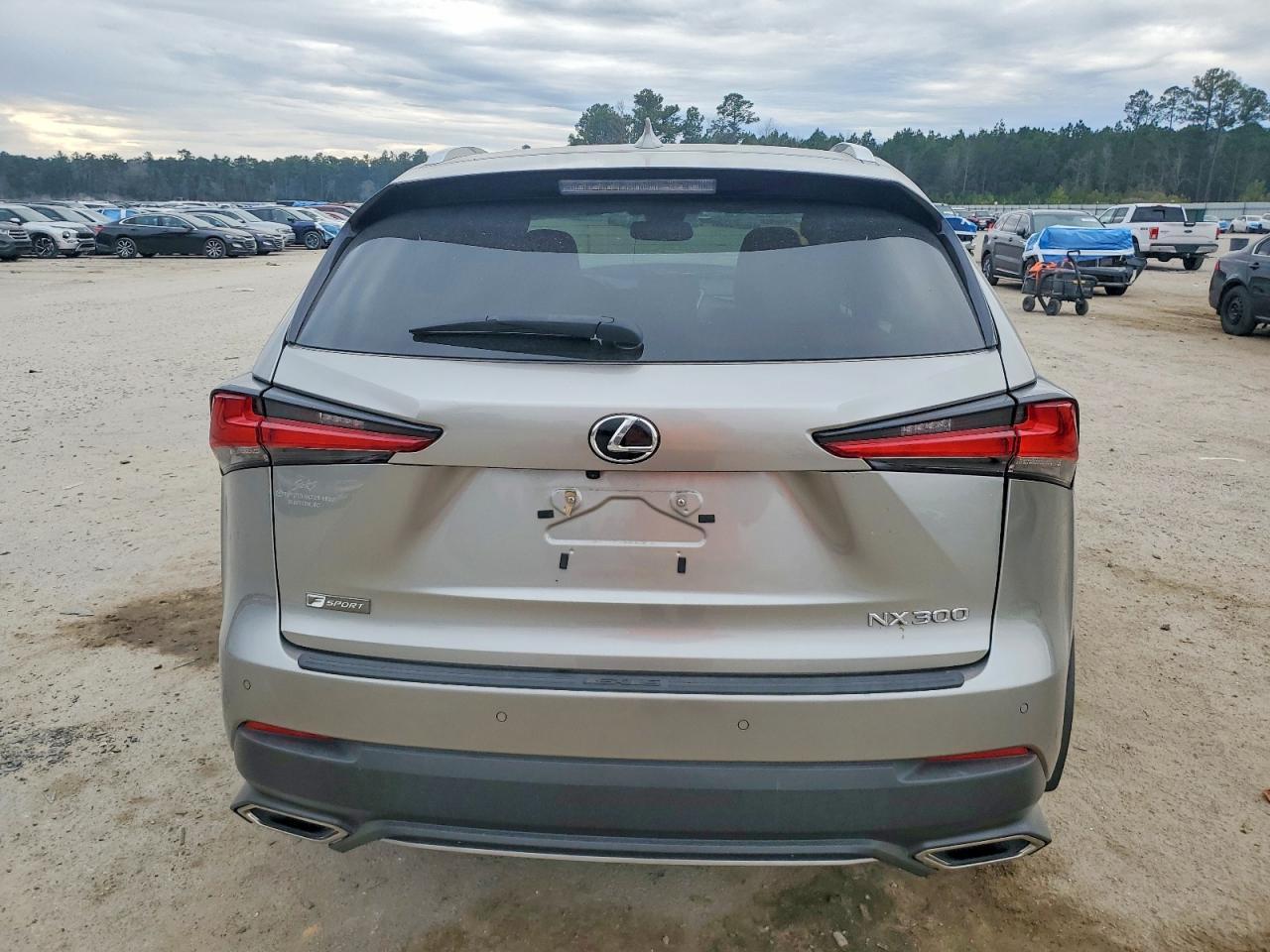 2020 LEXUS NX 300