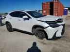 2024 LEXUS NX 250