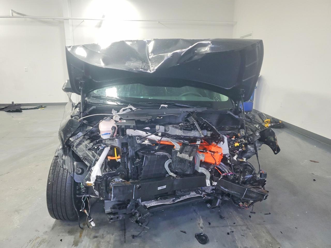 2024 KIA Niro