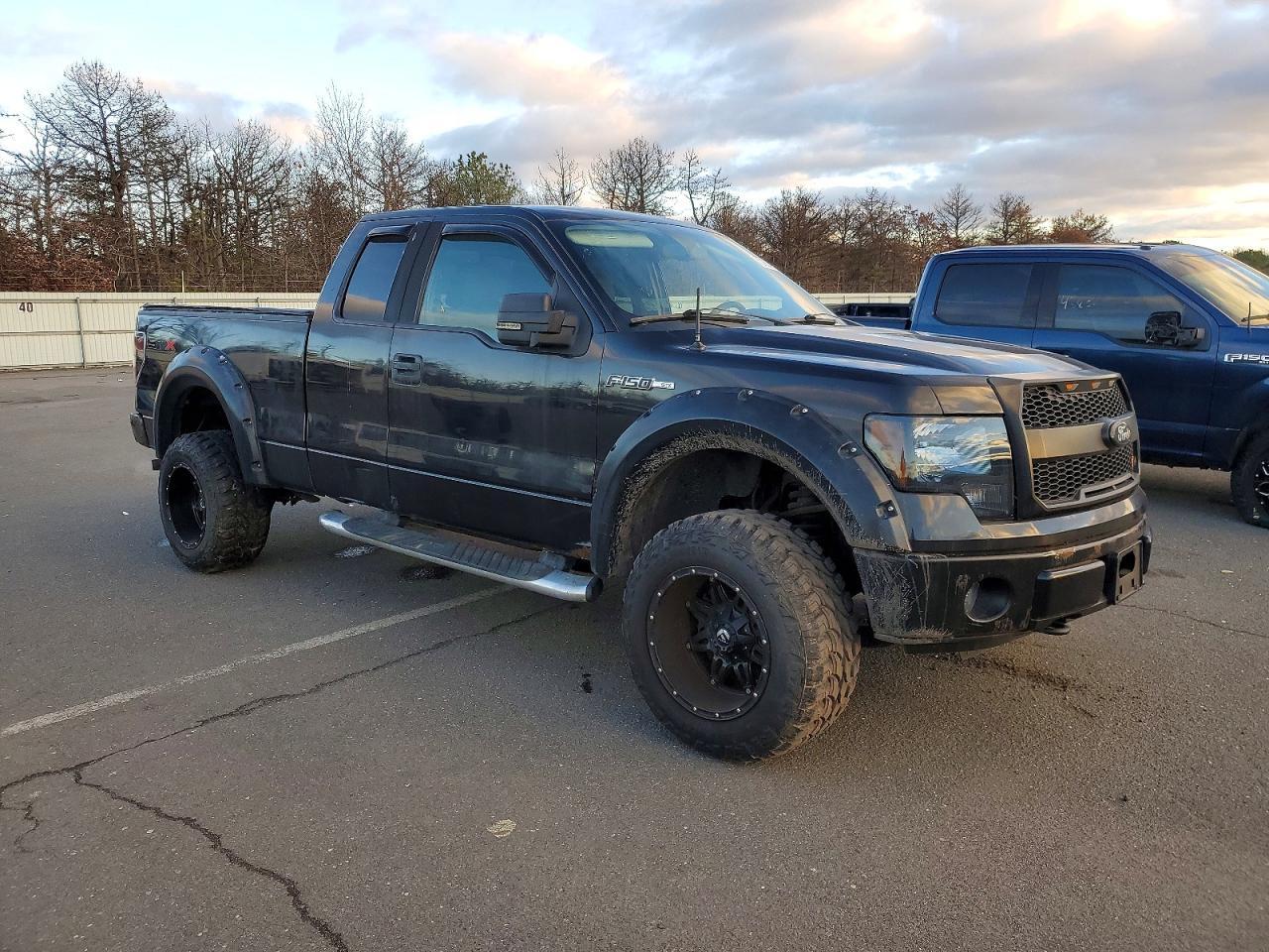 2010 FORD F-150