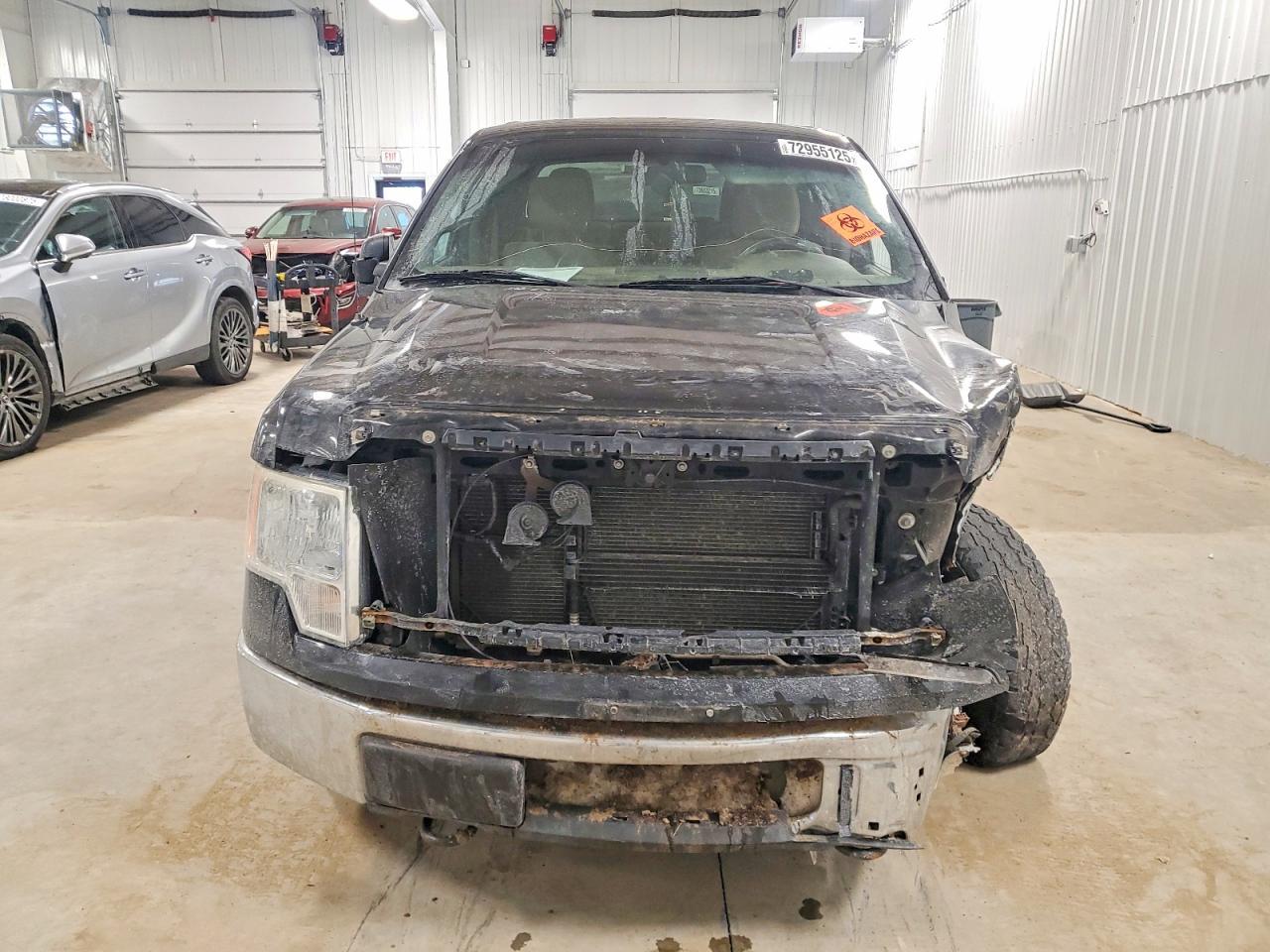 2010 FORD F-150