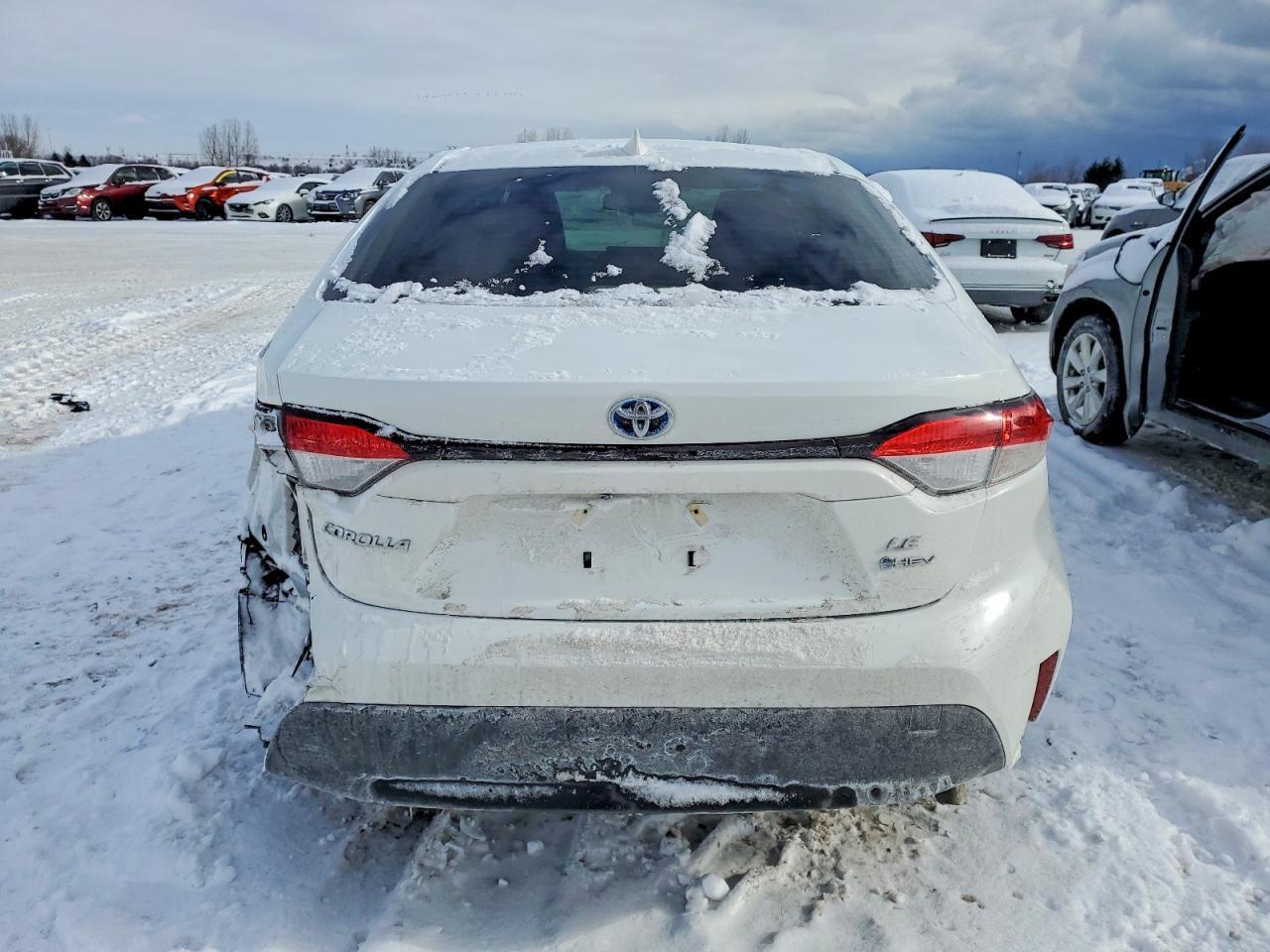 2025 TOYOTA COROLLA