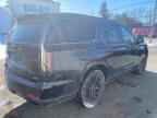2023 CADILLAC ESCALADE