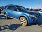 2010 FORD ESCAPE
