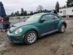 2017 VOLKSWAGEN Beetle
