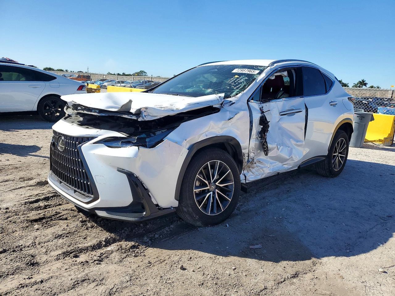 2024 LEXUS NX 250