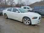 2014 DODGE CHARGER