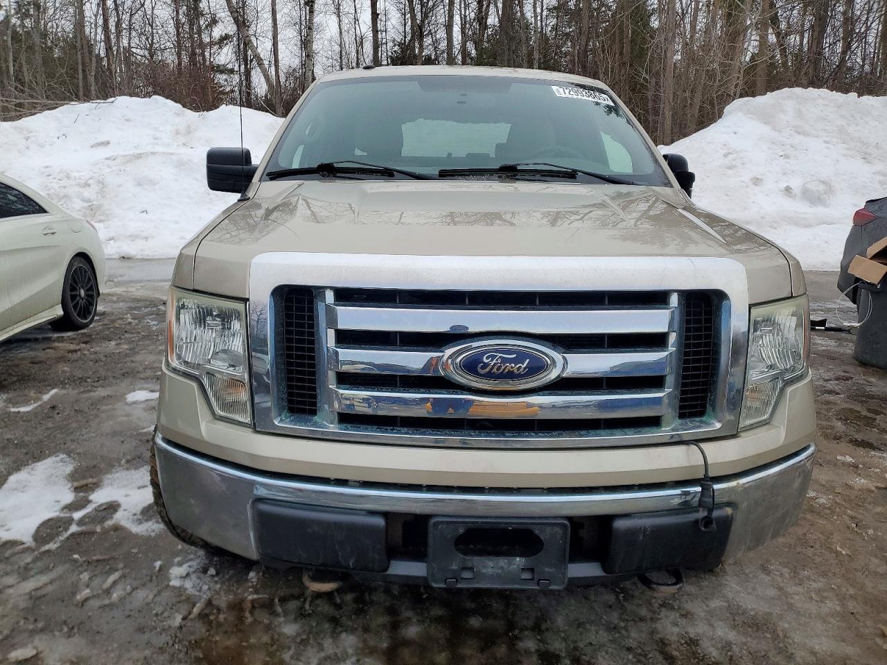 2009 FORD F-150