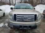 2009 FORD F-150