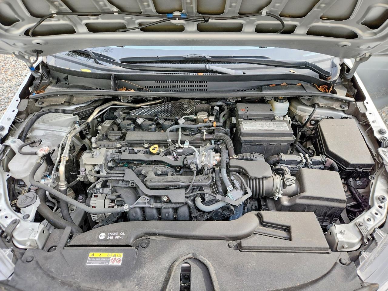 2024 TOYOTA COROLLA