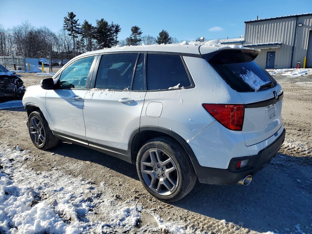2023 HONDA Passport