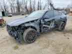 2024 BMW X6