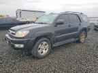 2005 TOYOTA 4Runner